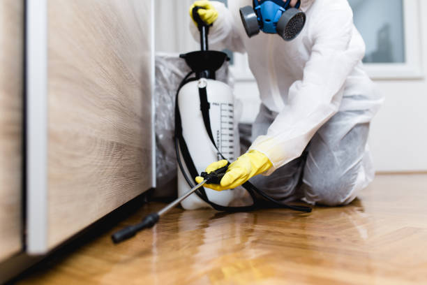 Best Affordable Exterminators  in Auburn, ME