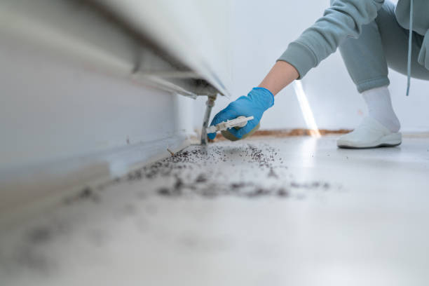 Pest Control for Restaurants in Auburn, ME